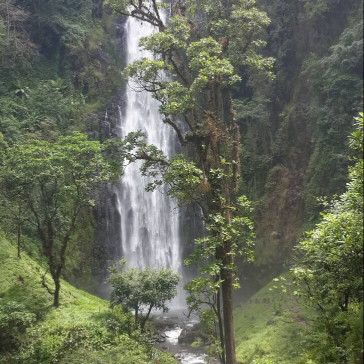 kilimanjaro chagga tribe