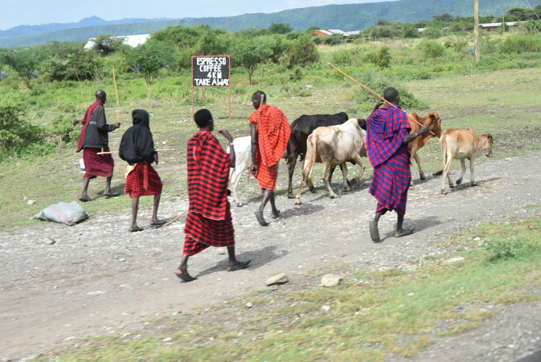 Africa Amin Maasai Lodge