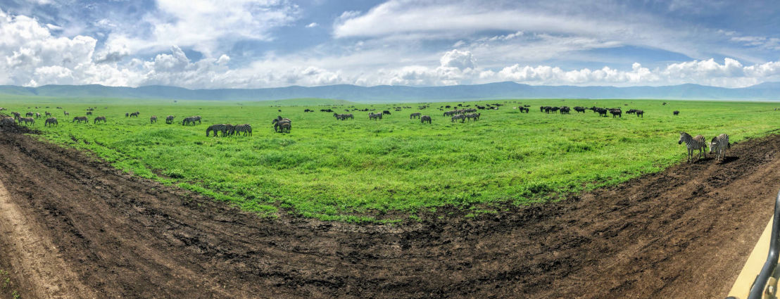 7 Días Tarangire, Serengeti y Cráter de Ngorongoro