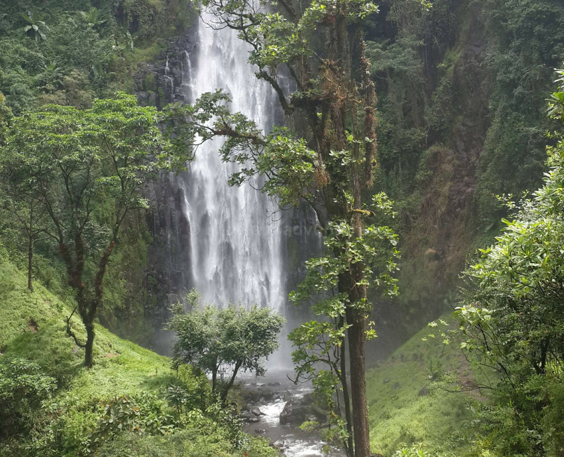 Tour culturel Chaga du Kilimandjaro et cascade