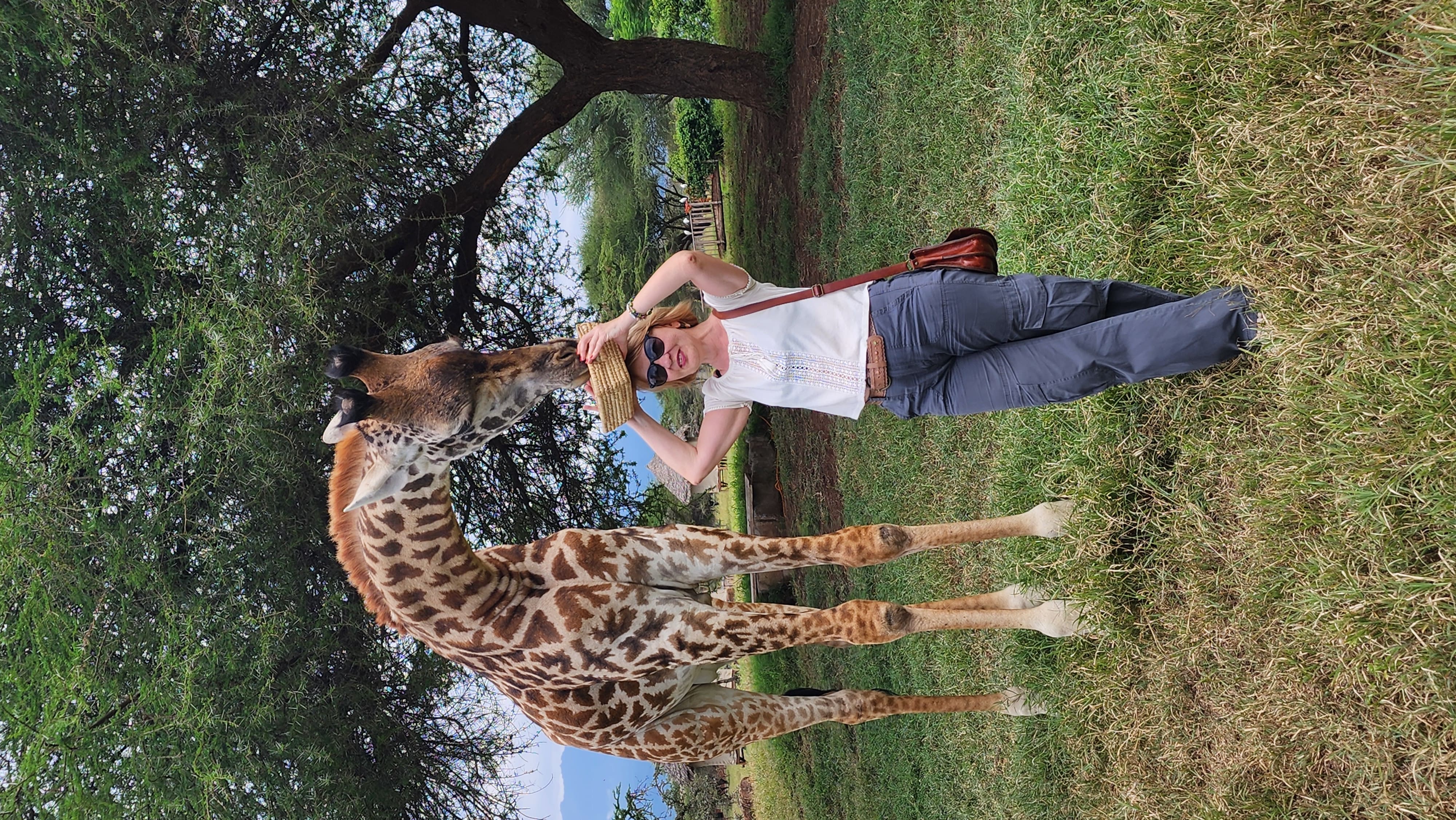 Ngorongoro Maasai Boma e vista Cratere